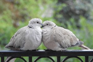 Нумерология и совместимость: Рожденные во Вторник