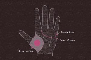 Любовная жизнь в Хиромантии