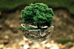 Онлайн гадание на игральных картах на ближайшее будущее