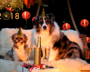 Китайский гороскоп 2018: Каким будет этот год для Вас?