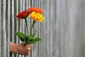 Гадание на Рунах на первое свидание