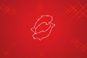 Рыбы (19 февраля - 20 марта) | Гибкость