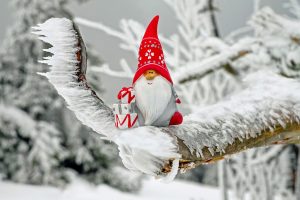 Новогоднее гадание на желание по картам Таро
